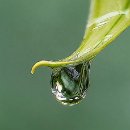 09 FFFK MA Giersch Wolf-Diether Tropfen 10